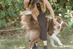 DSC08633