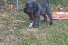 IMG-20220716-WA0001