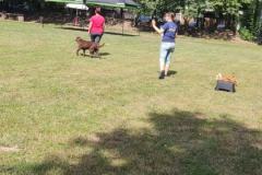 IMG-20220716-WA0002