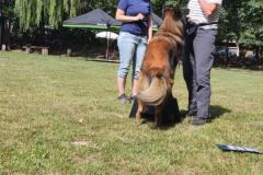IMG-20220716-WA0003