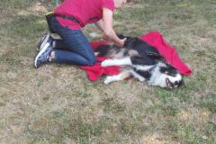 IMG-20220716-WA0005