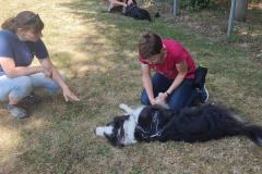 IMG-20220716-WA0006