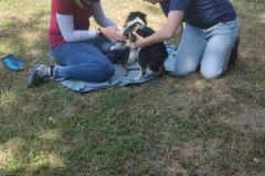 IMG-20220716-WA0007