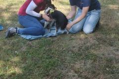 IMG-20220716-WA0008