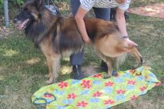 IMG-20220716-WA0009