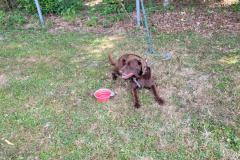 IMG-20220716-WA0012