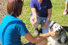 IMG-20220716-WA0016