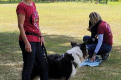 IMG-20220716-WA0020