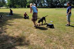 IMG-20220716-WA0024