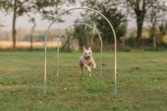 IMG-20260228-WA0008