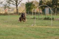 IMG-20260228-WA0009
