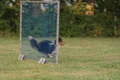 IMG-20260228-WA0010