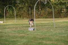 IMG-20260228-WA0011