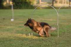 IMG-20260228-WA0012