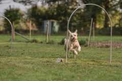 IMG-20260228-WA0013
